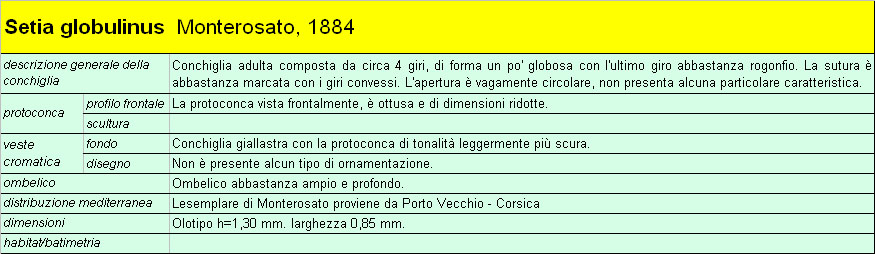 Il genere Setia e Crisilla nel Mediteraneo